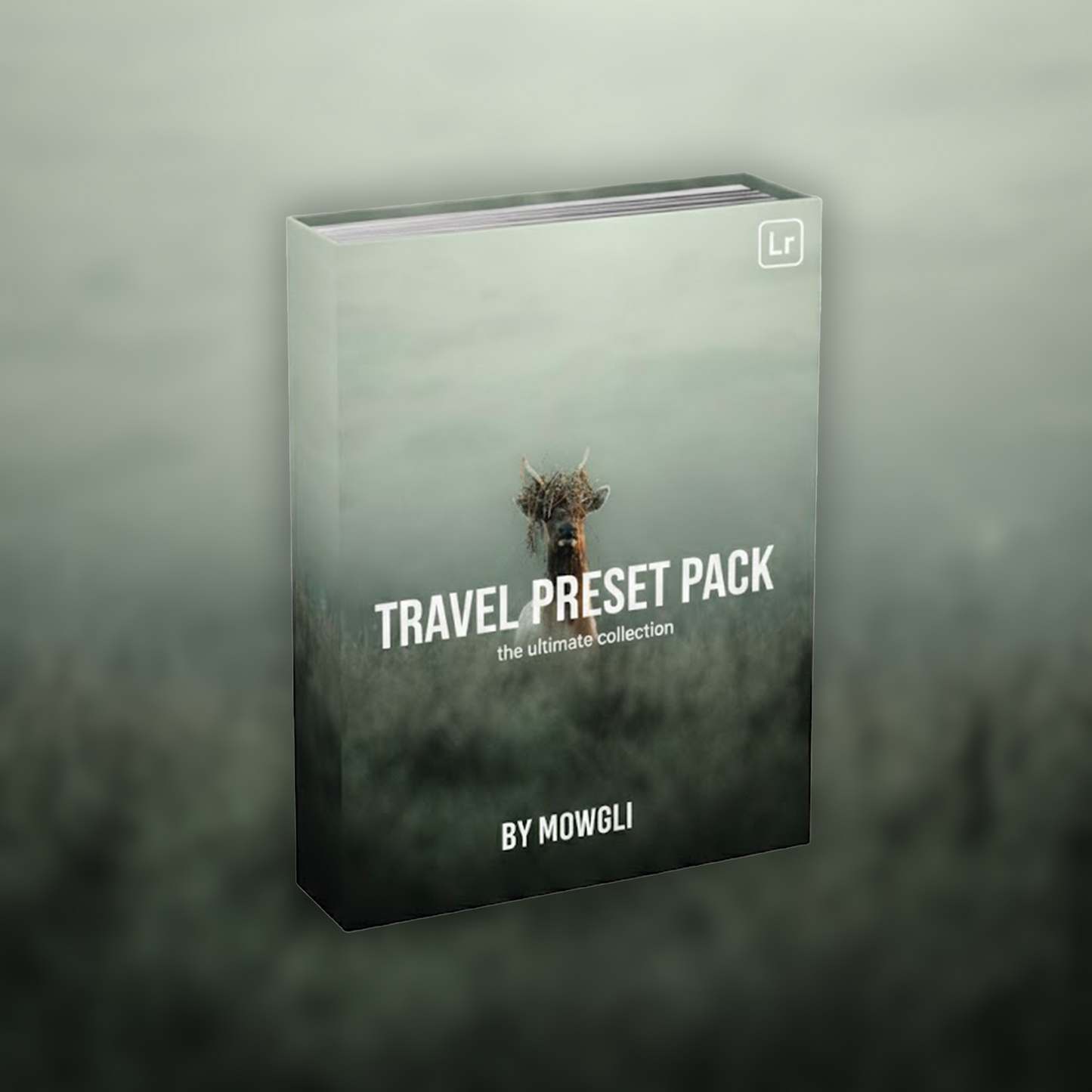TRAVEL PRESET PACK